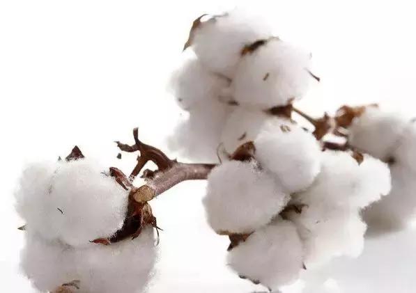 妇科医生教你姨妈巾该怎么选,劣质姨妈巾引发妇科病亲身经历