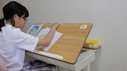 乐歌升降桌e21.6,乐歌c1升降桌