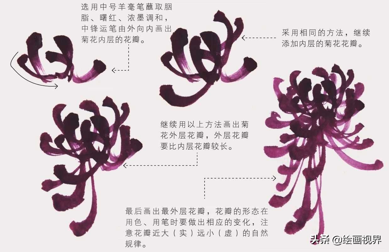 零基础国画（菊花）画法教程：学会这几点技法，几分钟画一朵菊花