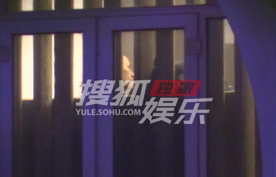 章子怡做医美,章子怡被拍到医美诊所