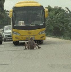 搞笑动图gif女司机,搞笑动图gif微信表情包