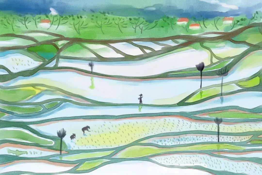 芒种黄龄清唱,芒种百里玄策