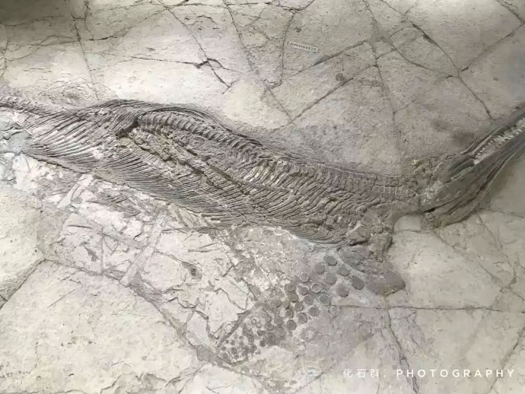 安顺这两天适合去哪里旅游,安顺假期旅游推荐