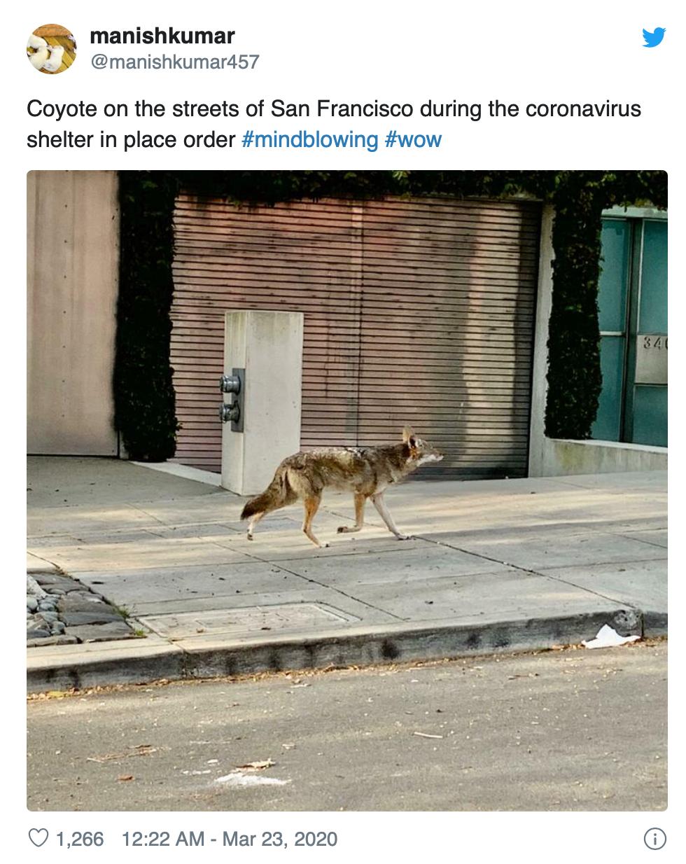 疫情过后美国人在中国旅游的反应,疫情下的美国真实生活图