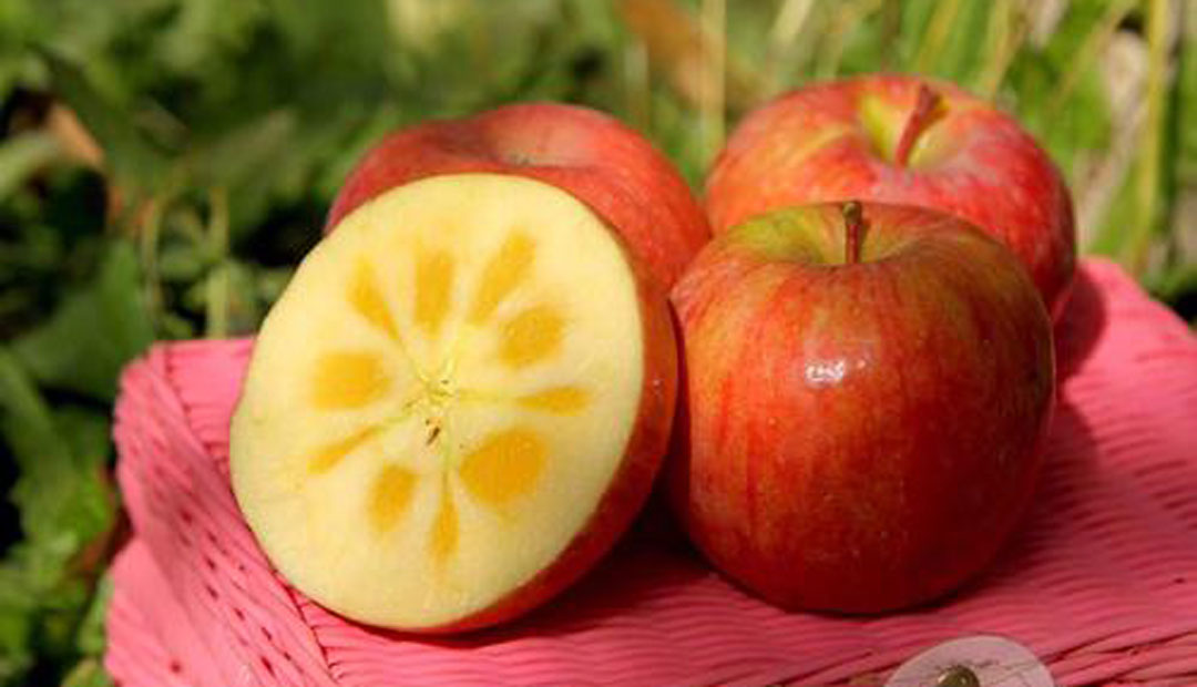 春季减肥吃什么瘦得快,春季减肥你掌握了这套黄金法则吗