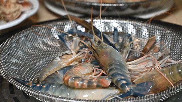 大渔铁板烧里的芝士扇贝,日式铁板烧芝士焗大虾