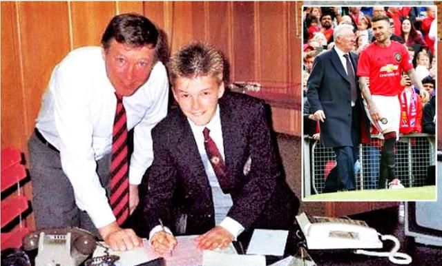 贝氏弧线原声,年轻的贝氏弧线