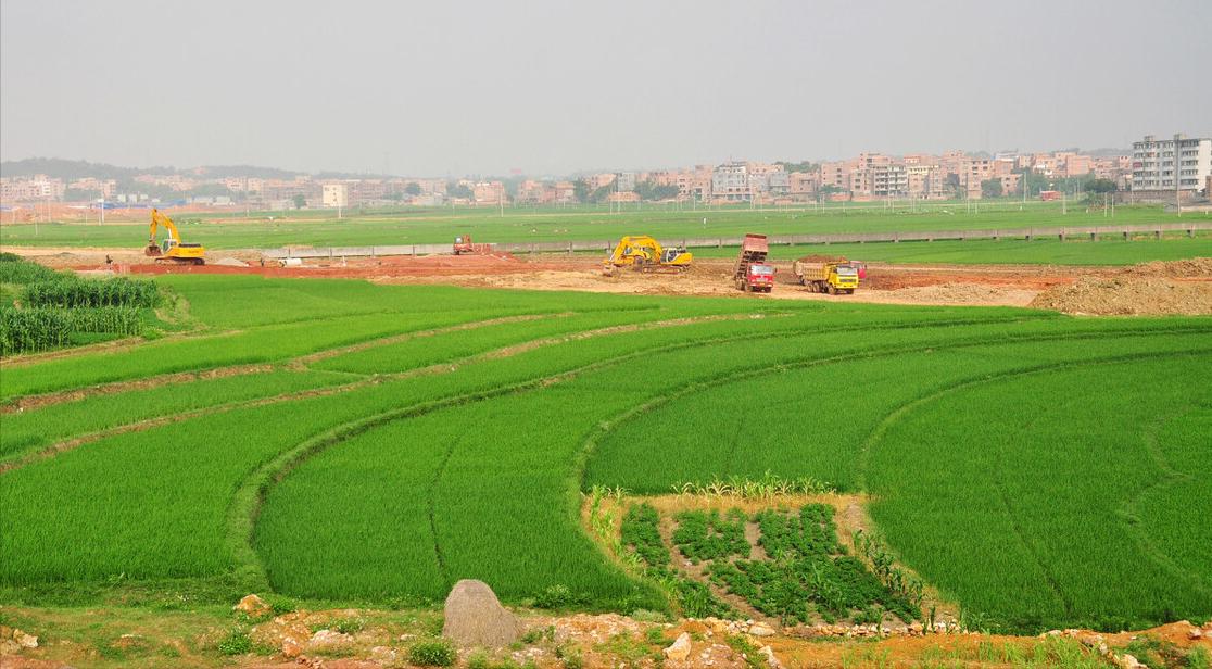 民政部门对农村随便葬坟有规定吗,禁止葬坟公告