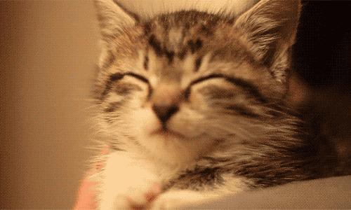 有趣到让你怀疑人生的冷知识,有趣且无用的冷知识