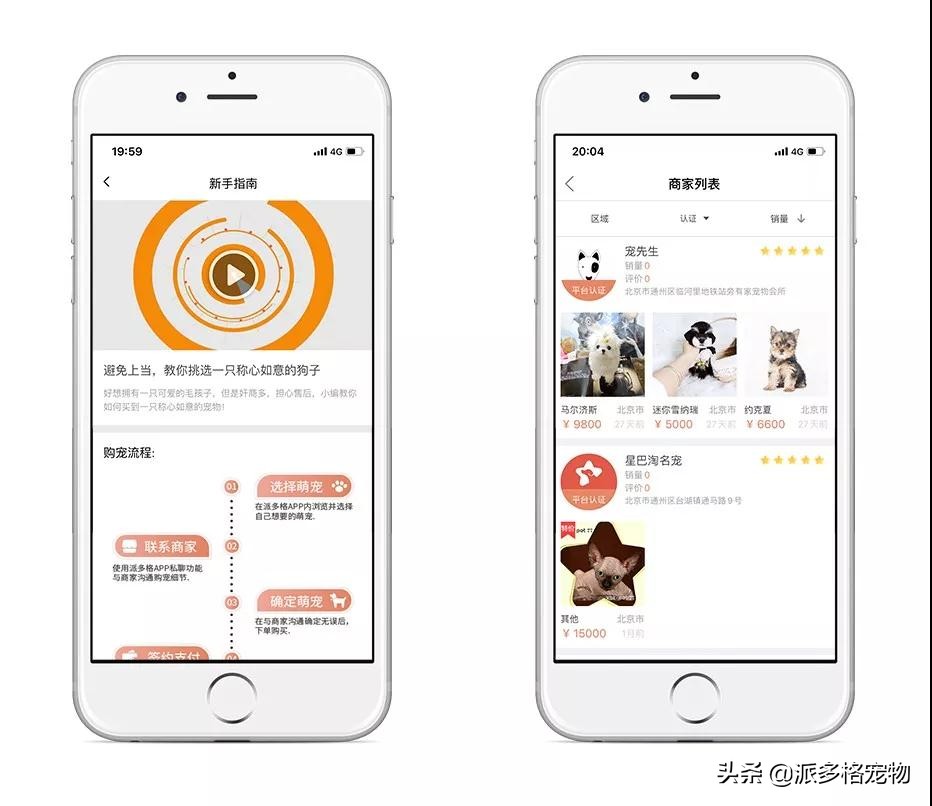 派多格宠物app,派多格宠物交流平台银川