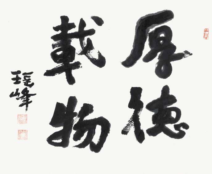 江苏冠军科技集团董事长谢海,冠军涂料谢海