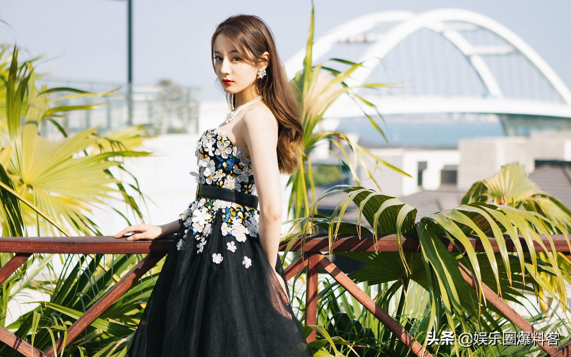 杨紫肖战李沁吴宣仪,肖战杨紫李沁吴宣仪