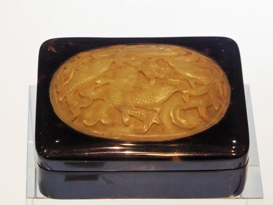 玳瑁现状,玳瑁的危险程度