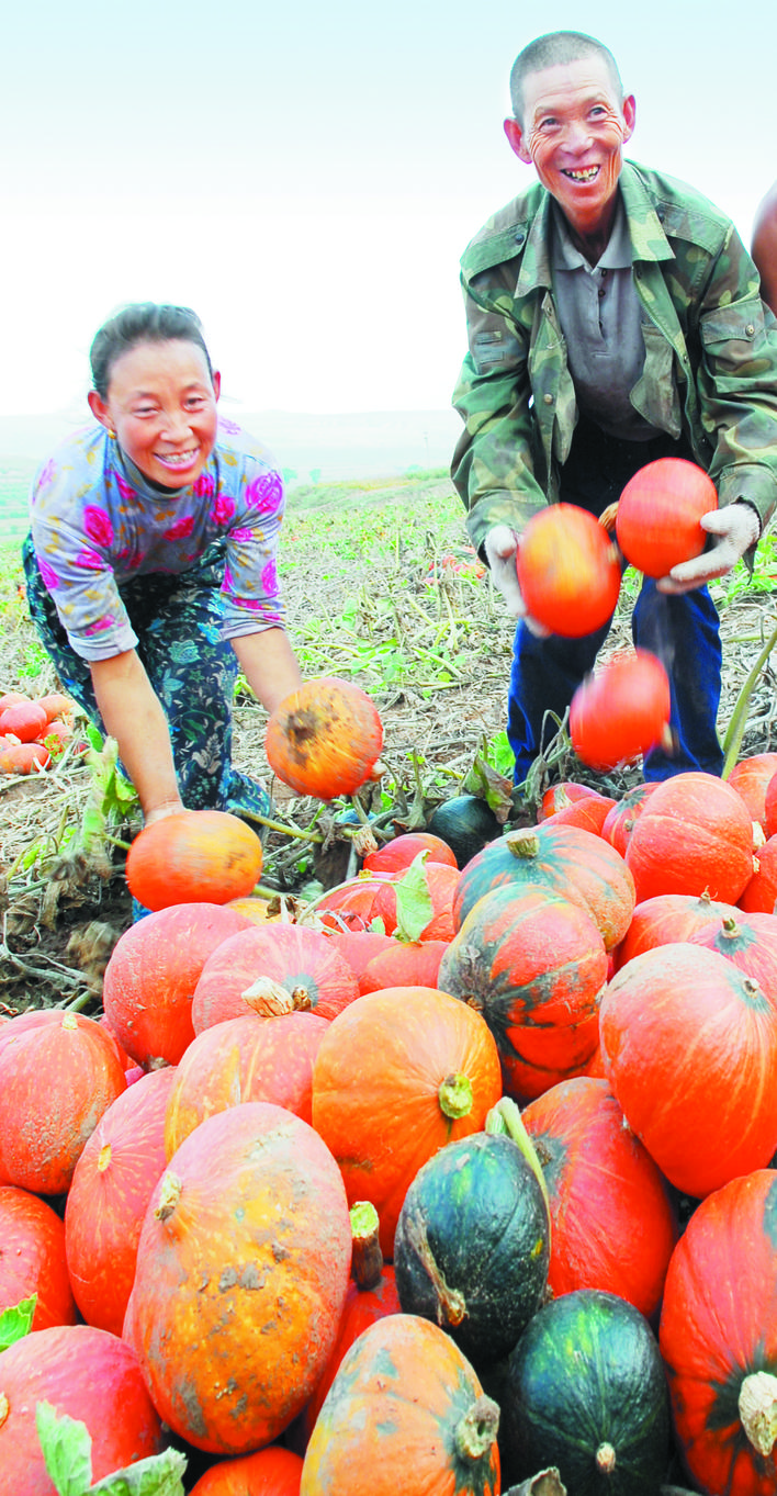 庆丰收感党恩山东各地丰收节活动,庆丰收感党恩宴席背景图片