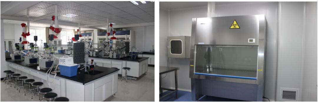 坚护蓝天碧水，高擎生命尊严：甘肃林业职业技术学院环境工程学院