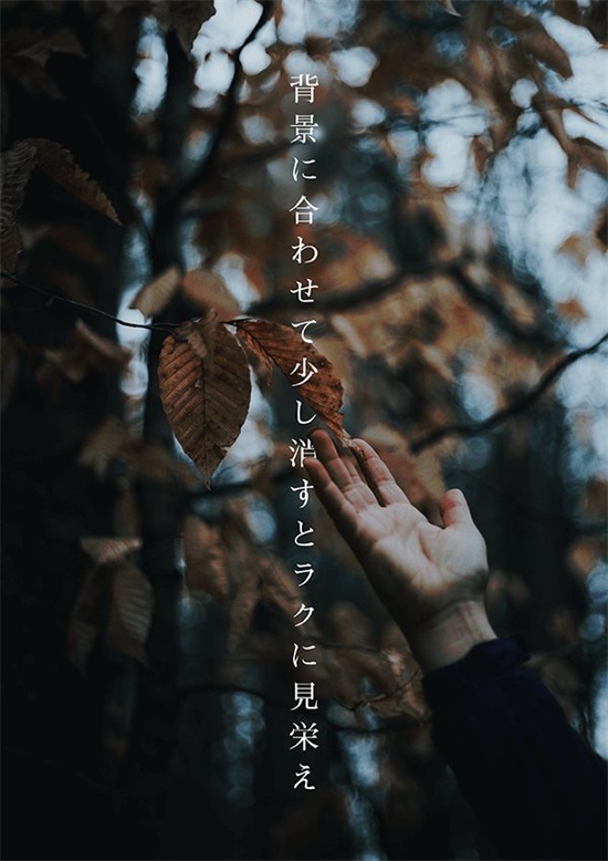 学果课程,学果教育设计培训班