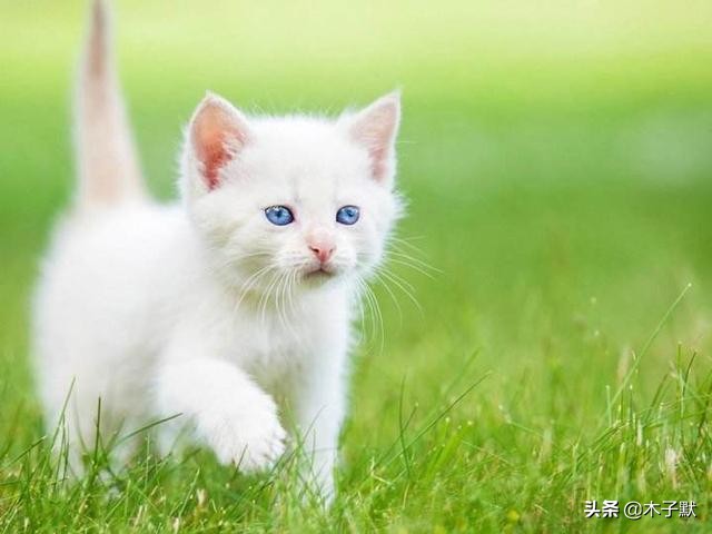 隔离的日子如同宅家,被隔离的日子真难熬吗