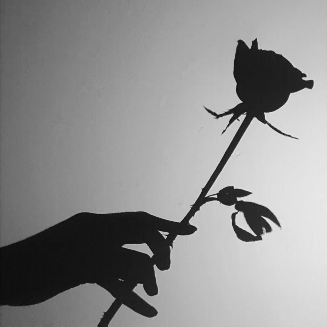 背景图黑暗系女,背景图黑暗系高级感