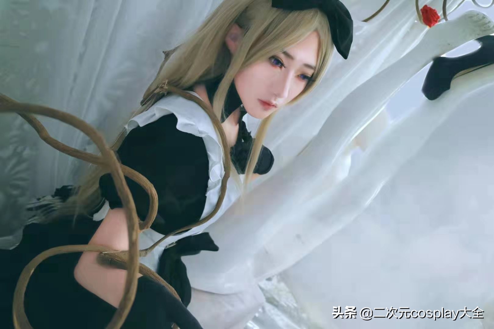 黑塔利亚娜塔莎阿尔洛夫斯卡娅,cos娜塔莎黑塔利亚