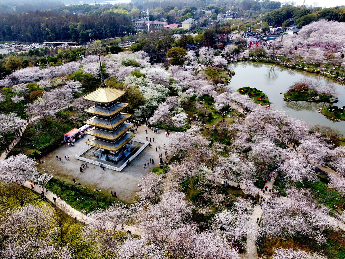 武汉真的是一个特别美的城市,大武汉风景美