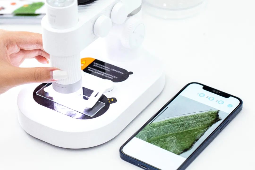 暑假孩子玩手机不如打篮球吧,儿童显微镜放大蚂蚁120倍