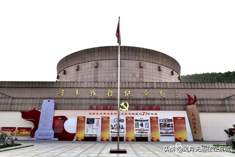 济南秋天的法国梧桐,济南一颗梧桐树