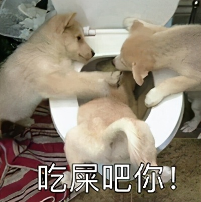 兔兔那么可爱为什么要吃它,兔兔这么可爱为什么要吃它