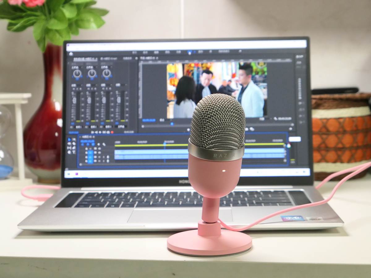 最新短视频麦克风,网红同款短视频麦克风