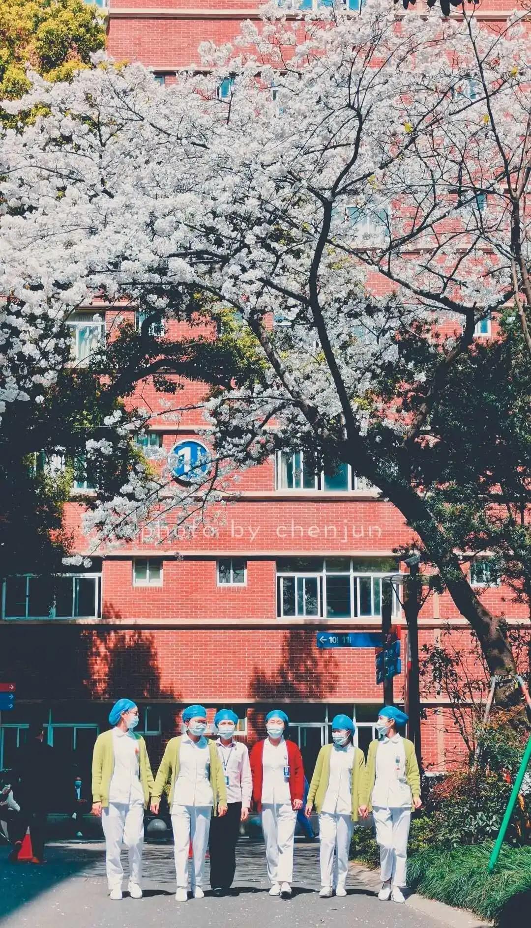 浙大二院和西京医院,浙大二院和浙江中医院