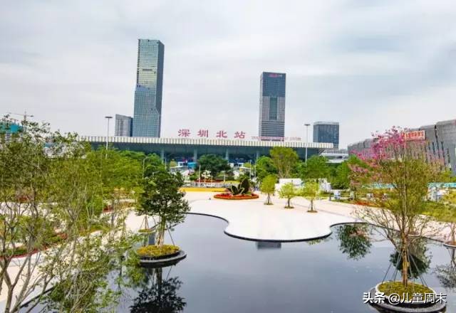 深圳中心公园足球场,深圳中心公园大草坪