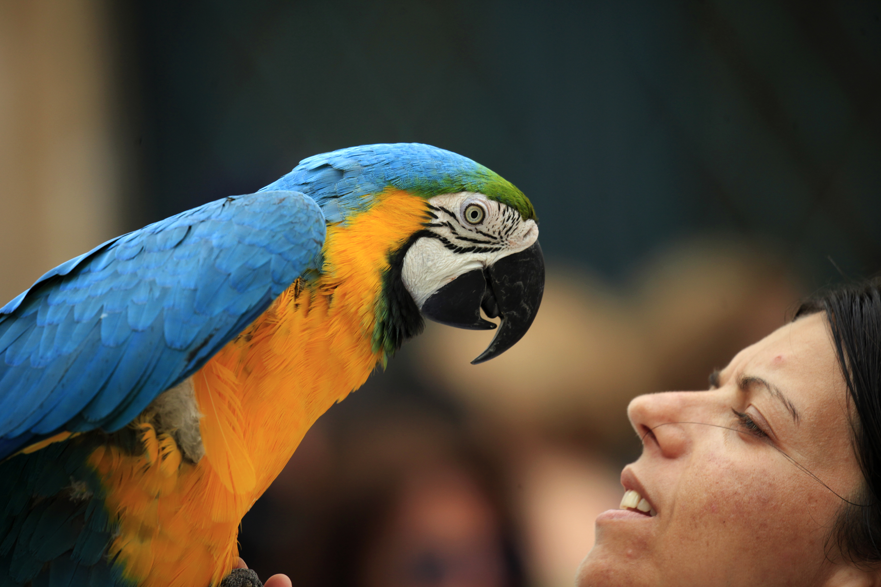 巴尔干七国行摄，回望欧洲*药火**桶上的一瞥惊鸿之五（克罗地亚篇）