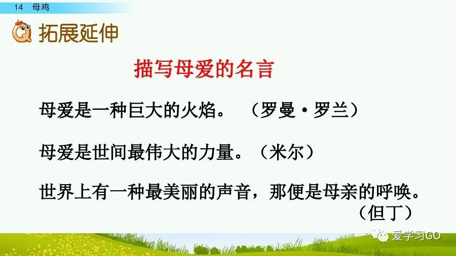 四年级下册语文母鸡课文重点讲解,四年级下册语文14课母鸡重点知识