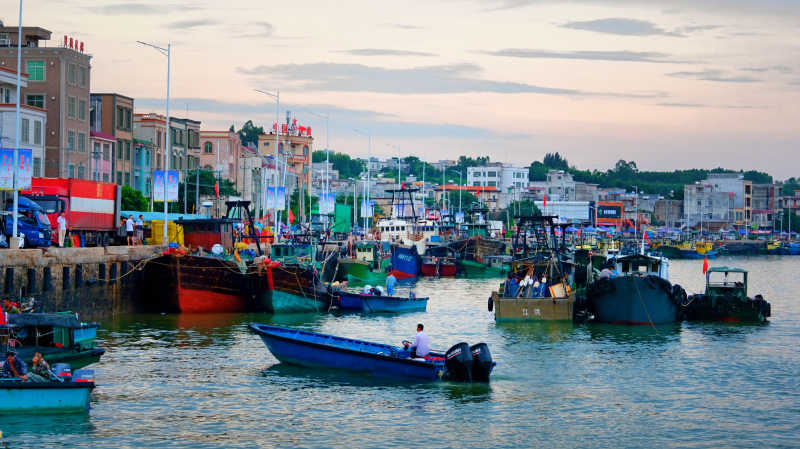 广东湛江旅游攻略美食,湛江旅游海鲜推荐一下