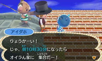 动森最新消息,动森为什么那么火