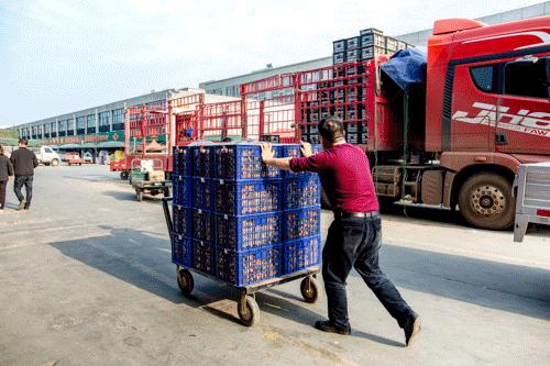 襄阳四季青水果批发市场位置,襄阳最大水果交易市场