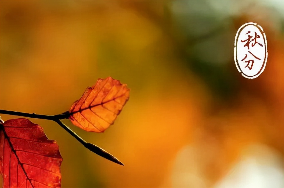 细细金风仲秋至，霜打披红几多情。今日秋分
