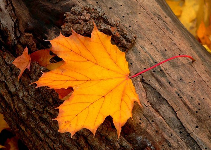 人到中年远离的3种人,人到中年远离这3种人余生顺遂