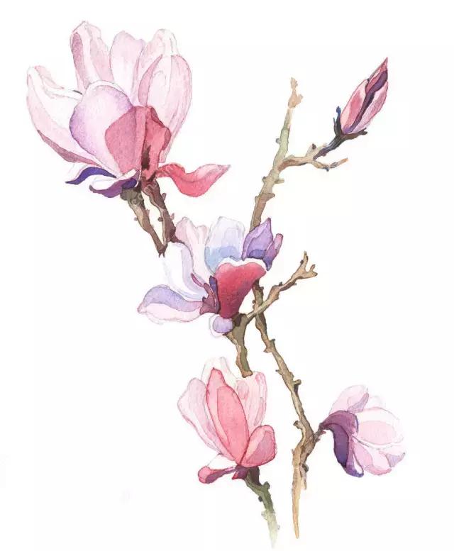 千年相思的唯美诗句,相思入骨的经典诗句