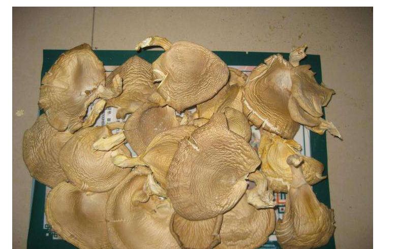 皮肤病喝中药可以吃什么水果,皮肤病忌口带叶的蔬菜吗