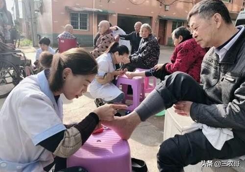 八个适宜在农村创业致富的项目,适合农村做的项目投资少见效快