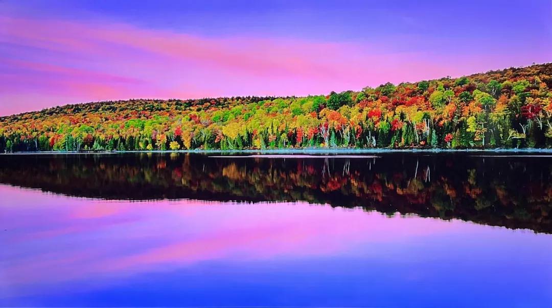 荣耀智慧屏x2测评,荣耀智慧屏x2和小米a55买哪个好