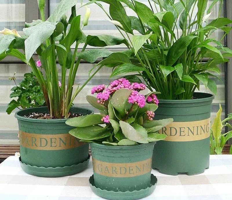 紫砂花盆为啥比红陶花盆还便宜啊,塑料盆什么材质好无毒