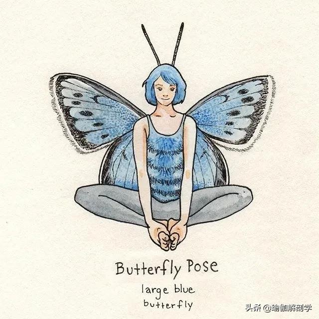 100张户外瑜伽唯美图片,各种动物瑜伽姿势图片