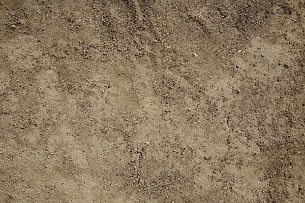 自然资源局整治典型案例,自然资源部违法案件查处工作