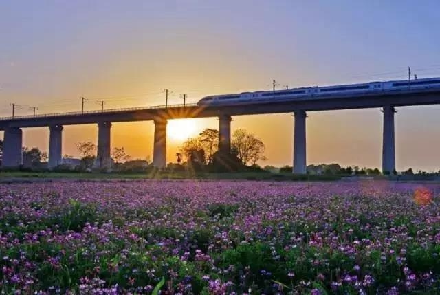 长沙橘子洲与南京江心洲,一定要来长沙看看橘子洲