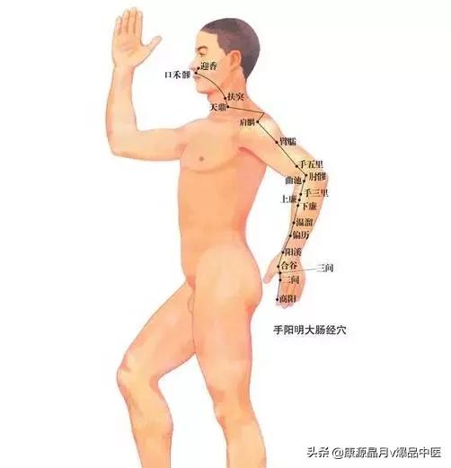 天下无疾,十二经脉流注图总结规律