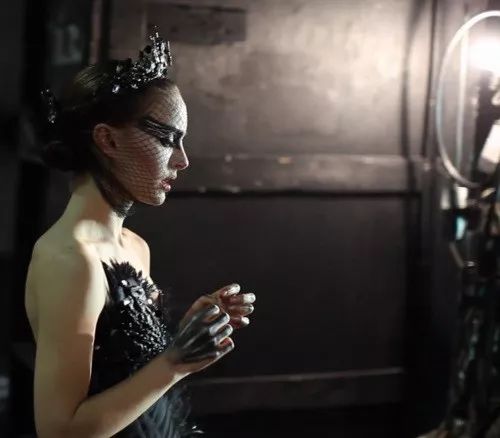 最娇媚的黑天鹅,最美的黑天鹅视频