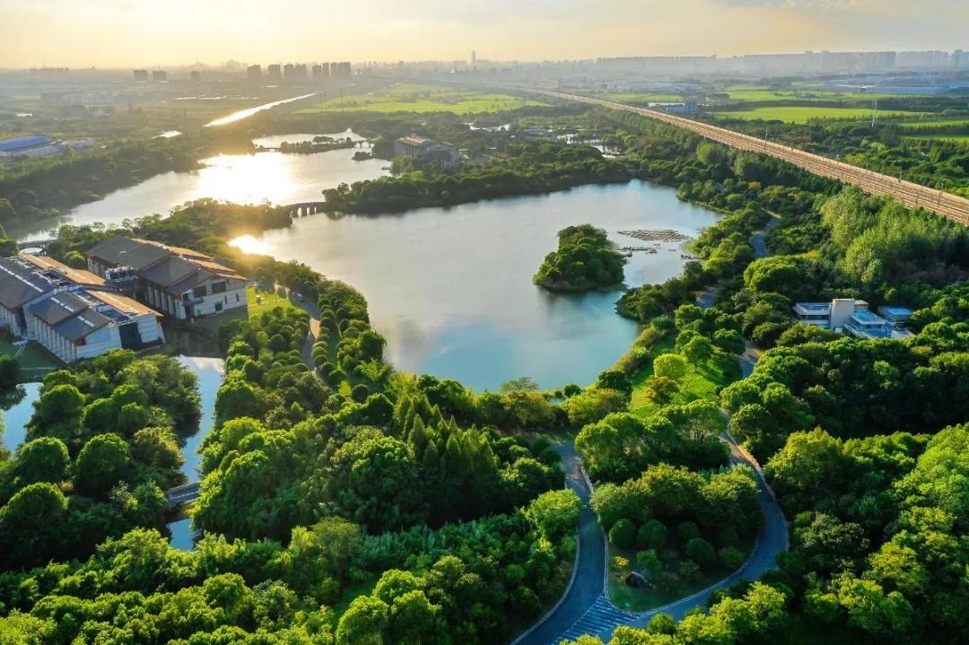 大局已定完整版视频,大局已定静待时机
