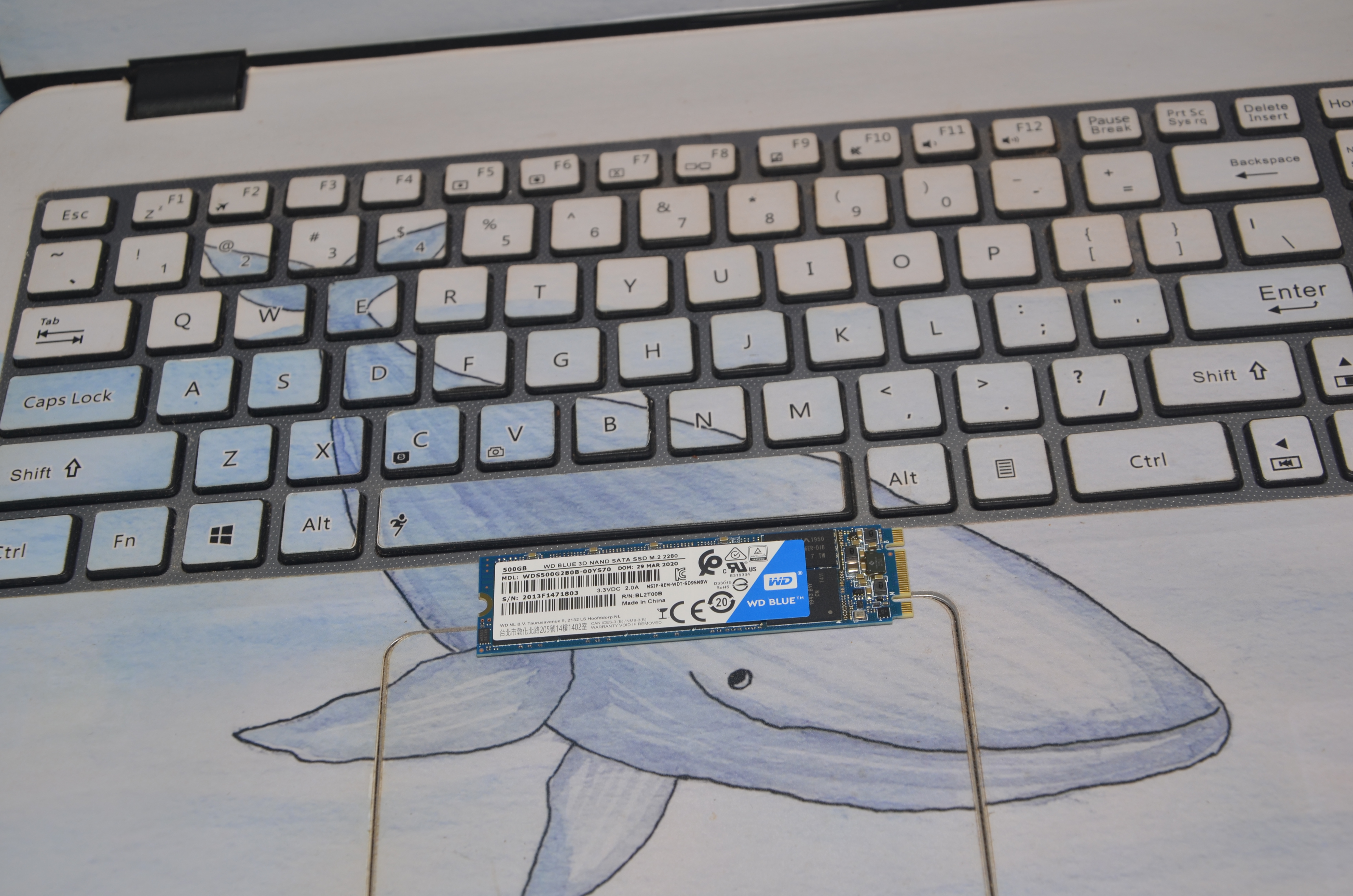 电脑装了ssd还是慢,电脑装个固态硬盘就不卡了吗