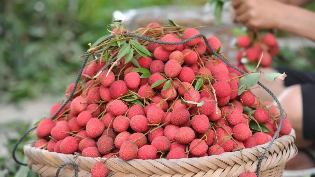流传千年的风味，那一抹不变幻的甜，是莆田人心头好